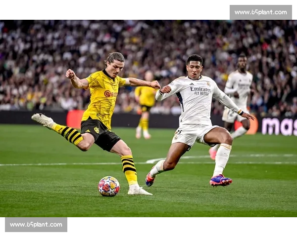 足球比赛激昂旋律的力量与魅力探究从赛前音乐到进球庆祝的音符之旅